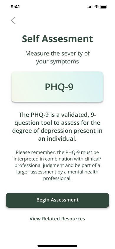 self assessment page